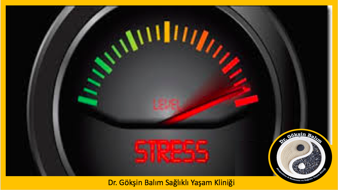 3 hipertansiyon göstergesi