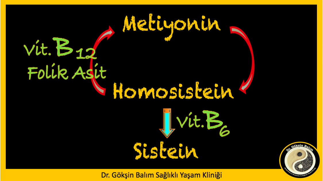 homosistein