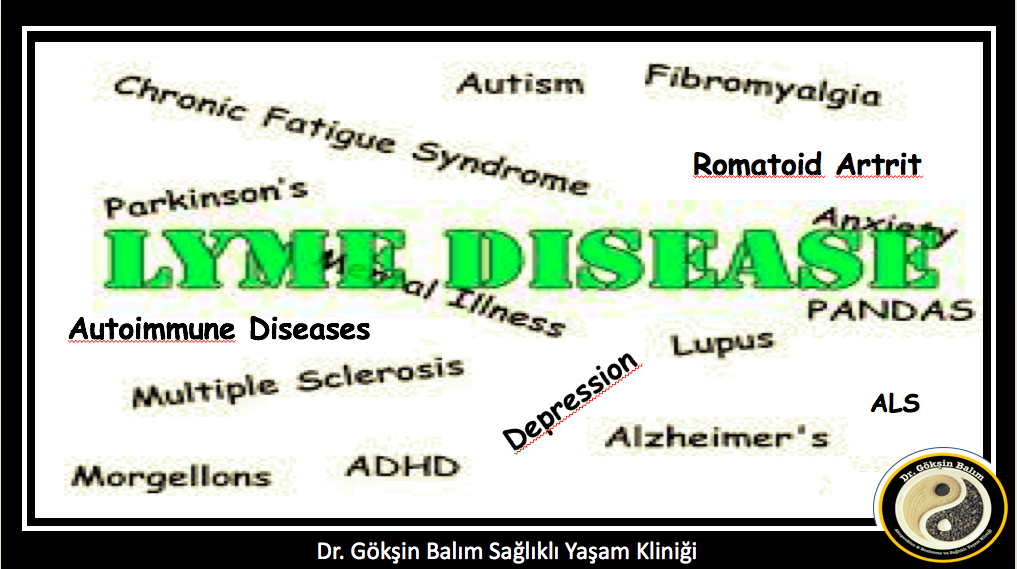 Lyme Hastaliginin Bircok Hastaligi Taklit Edebilecegini Biliyor Musunuz 1 Bolum